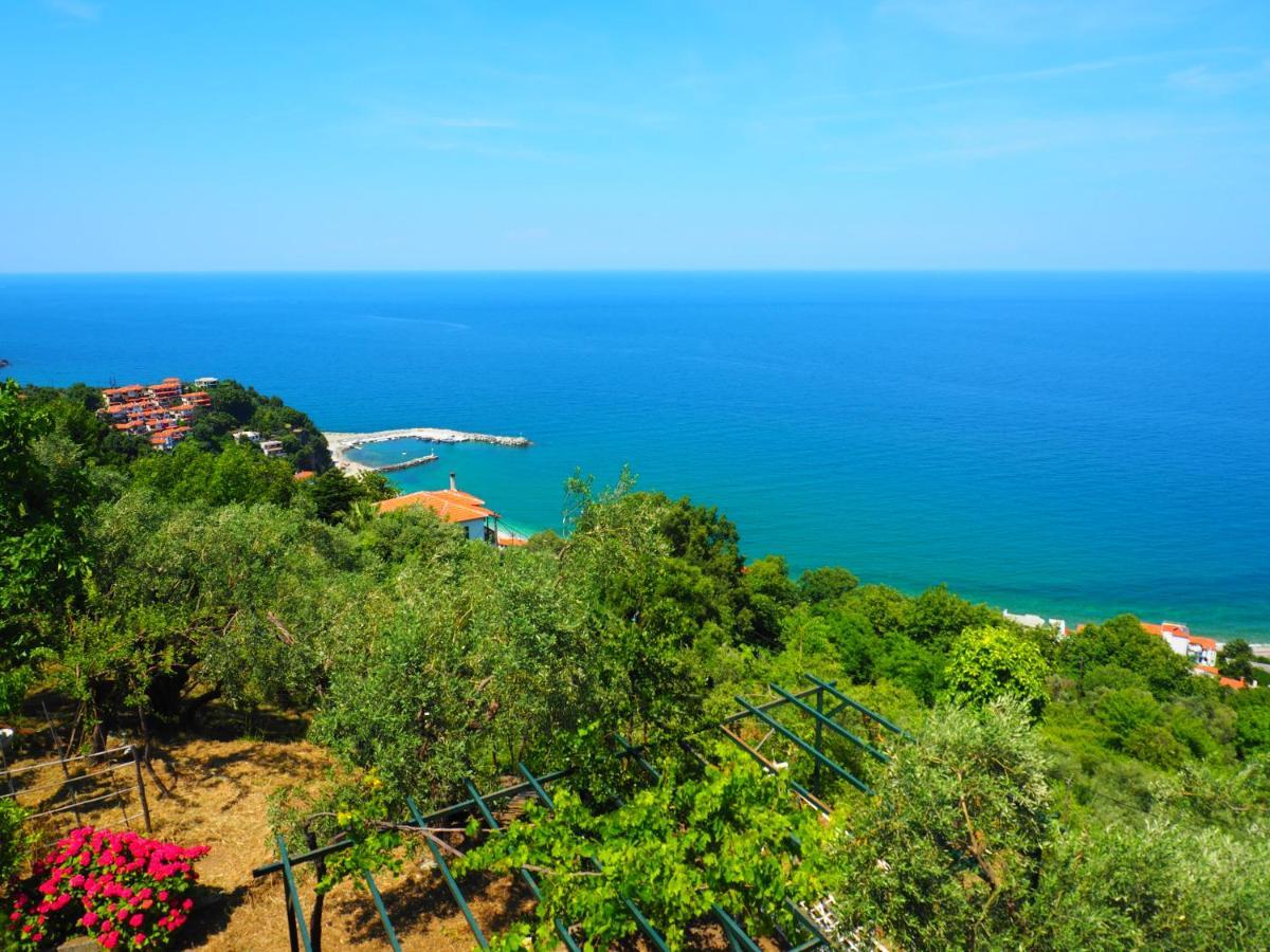 Felitsia Apartments & Studios Agios Ioannis  Exterior photo
