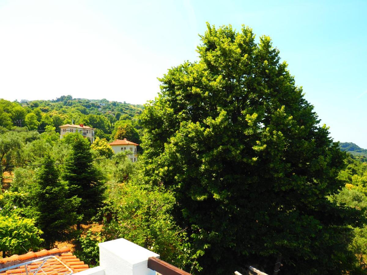Felitsia Apartments & Studios Agios Ioannis  Exterior photo