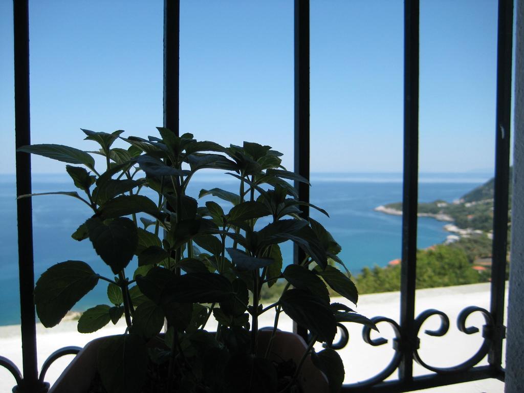Felitsia Apartments & Studios Agios Ioannis  Exterior photo